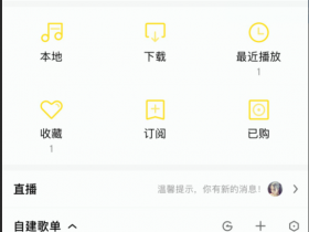 酷我音乐ios内部版