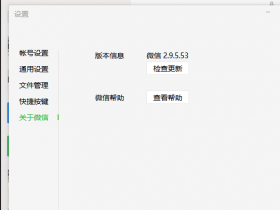 微信PC版 v2.9.5.53 无限多开&消息防撤回 绿色版(带撤回提示)