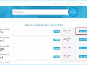 Freenom申请免费域名,无需门槛,永久免费!获取不可用解决方法