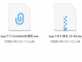 代码编辑器(Notepad++) v7.8.9官方中文版，含绿色-直装版！