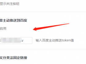 优化ESO笔记!百度主动推送token值密匙获取,站点秒收录