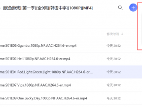 阿里云盘直链解析!突破网页下载文件100MB限制,油猴脚本+绿色版IDM