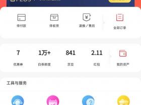 京东最简单获取cookie + 软件无脑超简单