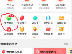 京东青龙面板-京东豆各项活动开启攻略
