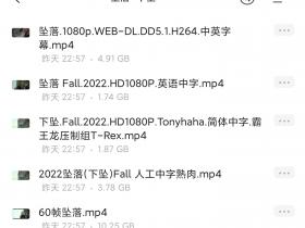 2022坠落(下坠)HD1080p Fall 人工中字熟肉-60帧