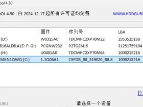 硬盘低级格式化工具 | HDD Low Level Format Tool 汉化版 v4.50