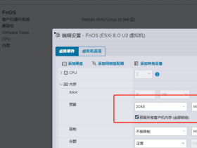 esxi 8.0核显飞牛OS直通,无需代码!超简单
