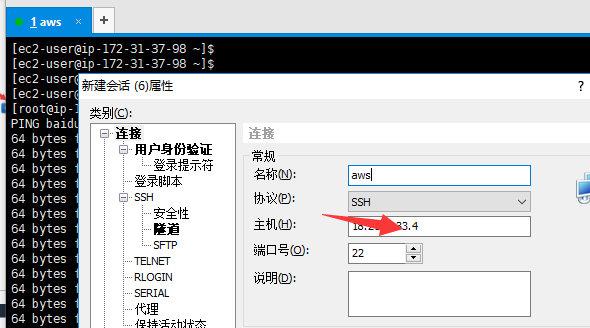 AWS白用服务器ECS2实例，从无费薅到上手使用。小白必备全程干货