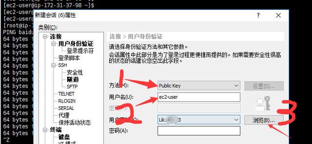 AWS 免费服务器ECS2实例,从免费薅到上手使用。
