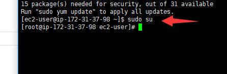 AWS 免费服务器ECS2实例,从免费薅到上手使用。