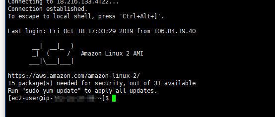 AWS 免费服务器ECS2实例,从免费薅到上手使用。