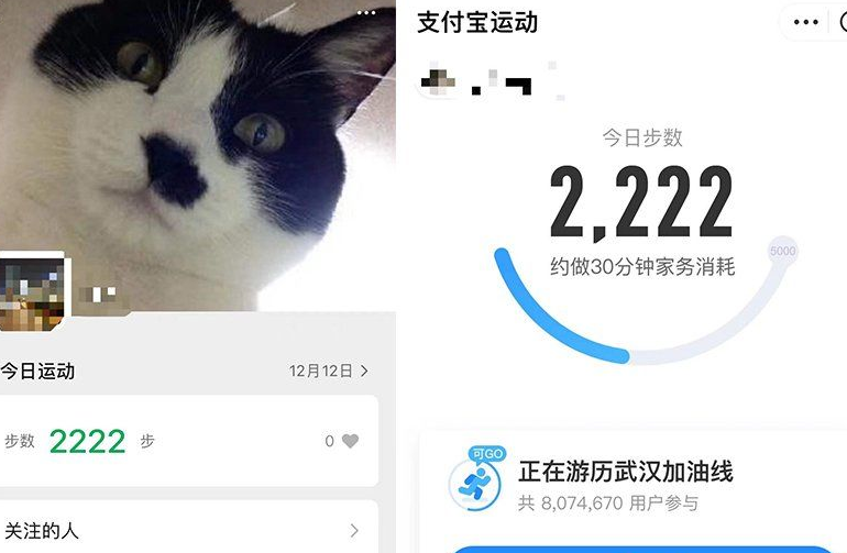 免费运动刷步工具2.4。运动步数同步wx和支付宝